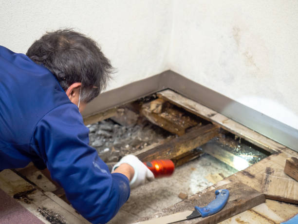Best Crawl Space Mold Removal  in Grovetown, GA