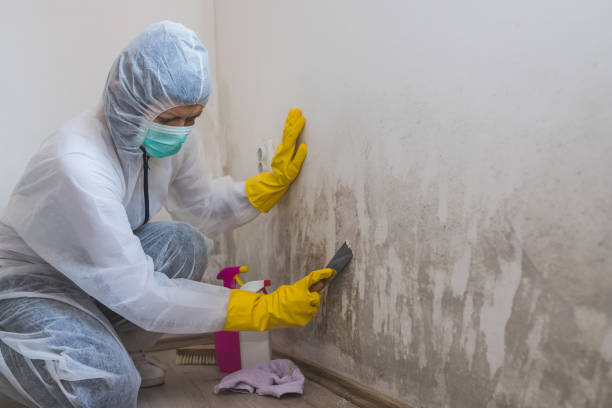 Best Residential Mold Removal  in Grovetown, GA