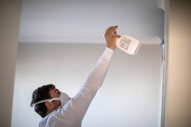Best Mold Cleaning Services  in Grovetown, GA