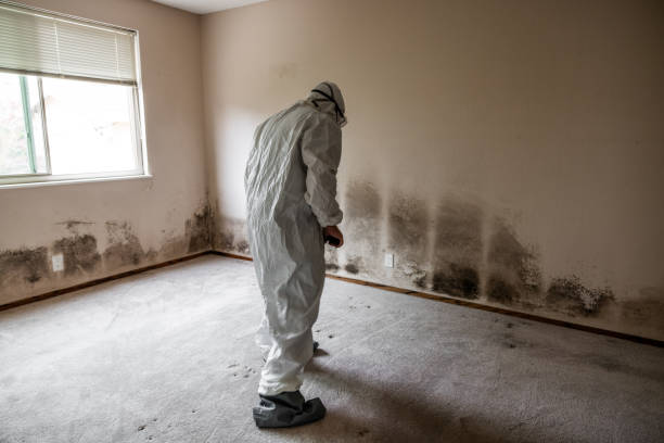 Best Toxic Mold Removal  in Grovetown, GA
